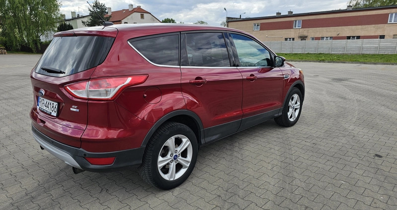 Ford Escape cena 46500 przebieg: 113000, rok produkcji 2013 z Krotoszyn małe 67